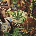 Les musées du cannabis