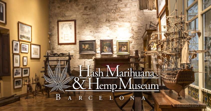 Musée du cannabis de Barcelone