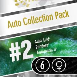 Auto Collection Pack #2 - 6 Graines