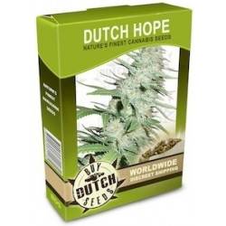 Dutch Hope