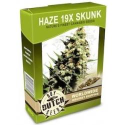 Haze 19x Skunk