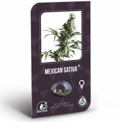 Mexican Sativa Féminisée (Classic Redux Serie)