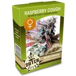 Raspberry Cough Féminisée