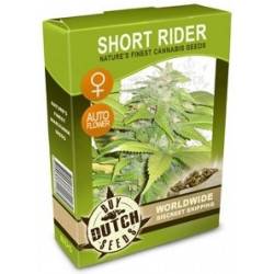 Short Rider Feminisiert Autoflowering - 5 Graines