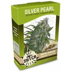 Silver Pearl